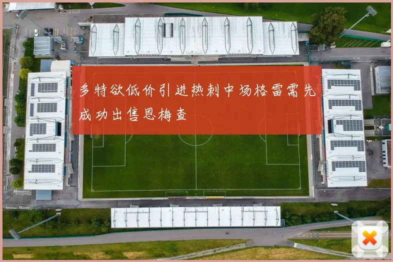 多特欲低价引进热刺中场格雷需先成功出售恩梅查
